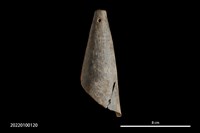 藏品(鳥首狀器)的圖片